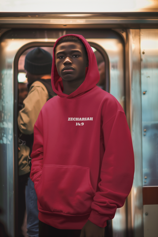 Zechariah 14:9 Christian Hoodie, Christian Gifts, Christian Back To School Gifts, Trendy Christian Apparel