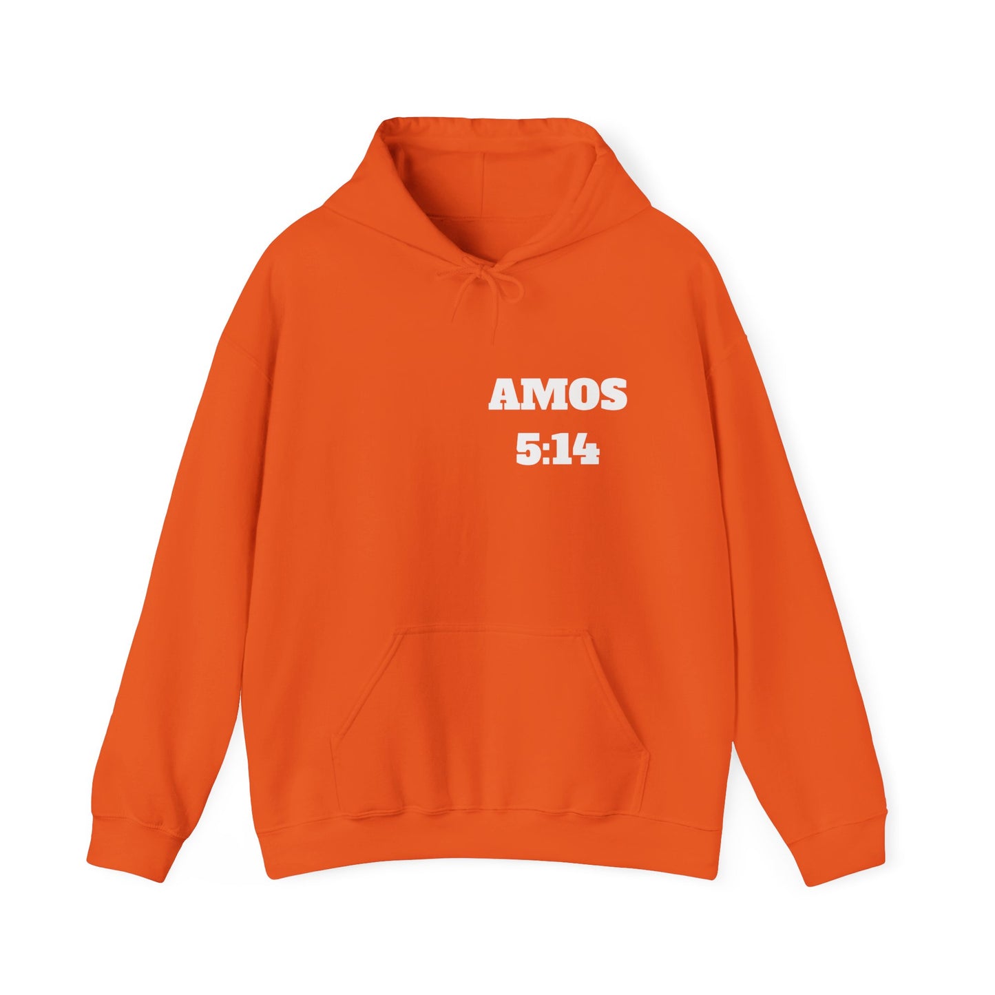 Amos 5:14 Christian T-Shirt, Christian Gifts, Christian Back To School Gifts, Trendy Christian Apparel