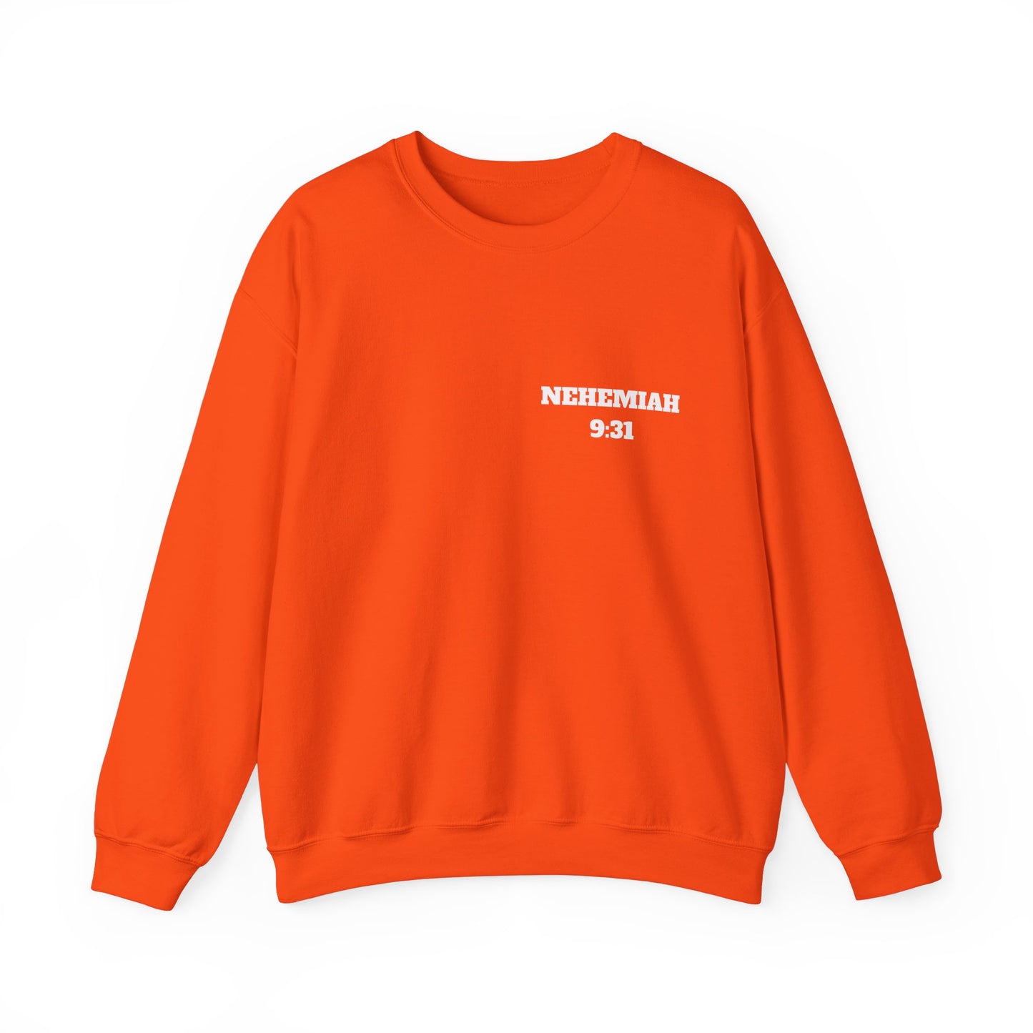 Nehemiah 9:31 Christian Sweatshirt, Christian Gifts, Christian Back To School Gifts, Church Outfits