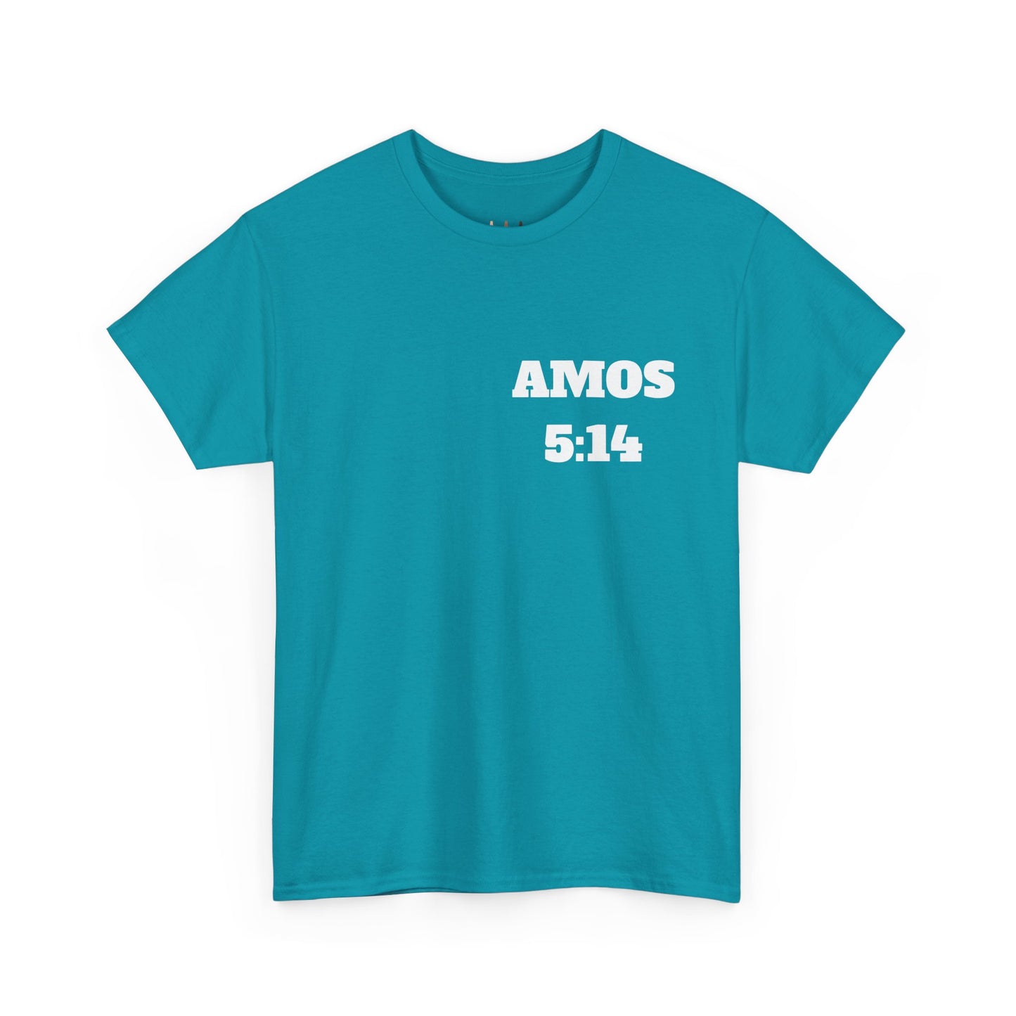 Amos 5:14 Christian T-Shirt, Christian Gifts, Christian Back To School Gifts, Trendy Christian Apparel